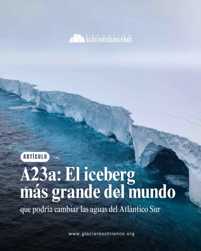 #ICEBERG 🔵 Un gigante de hielo en movimiento: El Iceberg A23a, uno de los más grandes del mundo, se aproxima a las islas de Georgia del Sur. Con una superficie doble que la Provincia de Santiago, este coloso de hielo se desprendió en 1986 de la plataforma de hielo Filchner, en la Antártica, y pasó más de 30 años encallado en el fondo marino.

🧊 ¿Por qué quedó atrapado tanto tiempo? Su quilla, la parte sumergida del iceberg, era demasiado grande para la poca profundidad de la plataforma. Sin embargo, con el tiempo, vientos más cálidos y corrientes oceánicas desgastaron su estructura, permitiéndole finalmente desprenderse y comenzar su deriva.

🌎 Aunque aún no se puede atribuir directamente su desprendimiento al calentamiento global, se espera que el aumento de temperaturas provoque la ruptura de más bloques de hielo en el futuro. Esto podría afectar ecosistemas marinos como los de Georgia del Sur, donde especies como pingüinos y focas podrían ver alteradas sus rutas de alimentación y reproducción.

❄️ ¿Qué otros impactos crees que podría generar el desplazamiento de un iceberg tan masivo? ¡Los leemos en comentarios! 💬

🔗 Descubre más en nuestro artículo completo. Encuentra el enlace en nuestras historias y bio 📲

📝 Artículo: Sandra Mendoza @sanveronicaa 
📸 Fotos y videos: @ianjstrachan @richardsidey @capturenorthstudios @bbcmundo @eumetsatmedia @natgeoesp

“Las acciones y decisiones que tomemos el día de hoy, construirán el futuro para la naturaleza, comunidades y glaciares”
~Fundación Glaciares Chilenos~

🔵Apoya el trabajo voluntario de nuestra fundación, realizando una donación desde los $3.000 en el link en nuestro sitio web.

#glaciareschilenos #iceberg #a23a #iceberga23a