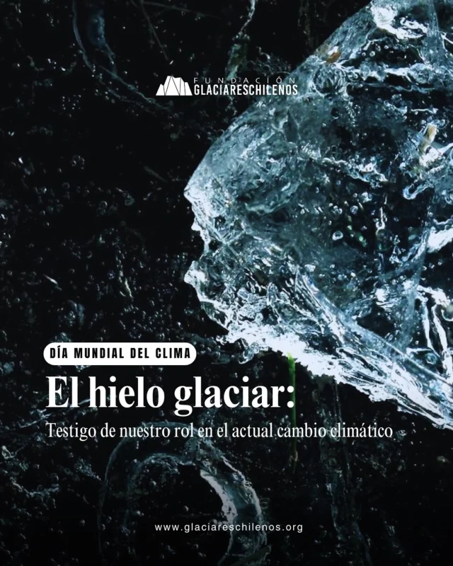 #DÍADELCLIMA 🔵 ¿Sabes cuál es el vínculo entre el Clima y los Glaciares? 🌎 Hoy 26 de marzo conmemoramos el Día Mundial del Clima, fecha establecida en 1992 por la Convención Marco de las Naciones Unidas sobre el Cambio Climático @onucambioclimatico #worldclimateday. Para comenzar, algunas definiciones importantes 👇🏻

🌦 ¿Qué es el clima?
Es el conjunto de condiciones atmosféricas que ocurren en una determinada región durante un período de tiempo (al menos 30 años de datos meteorológicos)

🌎 ¿Cómo es que sabemos que el clima ha cambiado? Y si ha cambiado, ¿Qué nos hace pensar que el actual cambio está fuera de lo normal? Podemos encontrar la respuesta a estas preguntas en el hielo, que por siglos ha contenido los archivos climáticos de la Tierra.
El hielo glaciar año tras año acumula capas de nieve en su superficie, las cuales, en su composición química, guardan un registro de diversos parámetros ambientales muy valiosos.

🔎 Para obtener estas respuestas, los científicos utilizan técnicas de perforación que permiten obtener muestras de cada capa de hielo en profundidad y así estudiar la variación del clima. Estas muestras se les conoce como Testigos de Hielo y han permitido la reconstrucción del clima de hace cientos de miles de años.

🔗 Descubre más en nuestro artículo completo. Encuentra el enlace en nuestras historias y bio 📲

“Las acciones y decisiones que tomemos el día de hoy, construirán el futuro para la naturaleza, comunidades y glaciares”
~Fundación Glaciares Chilenos~

📝 Artículo: Dieter Tetzner @tetz.pretz
📸 Fotos: @tetz.pretz @testigosdehielo @mckenzie_river_boy

🔵 Apoya el trabajo voluntario de nuestra fundación, realizando una donación desde los $3.000 en el link en nuestra bio.

#glaciareschilenos #yoprotejolosglaciares #díamundialdelclima #clima #cambioclimático #climatechange #ice #glacierice #glaciar #testigodehielo #glacier