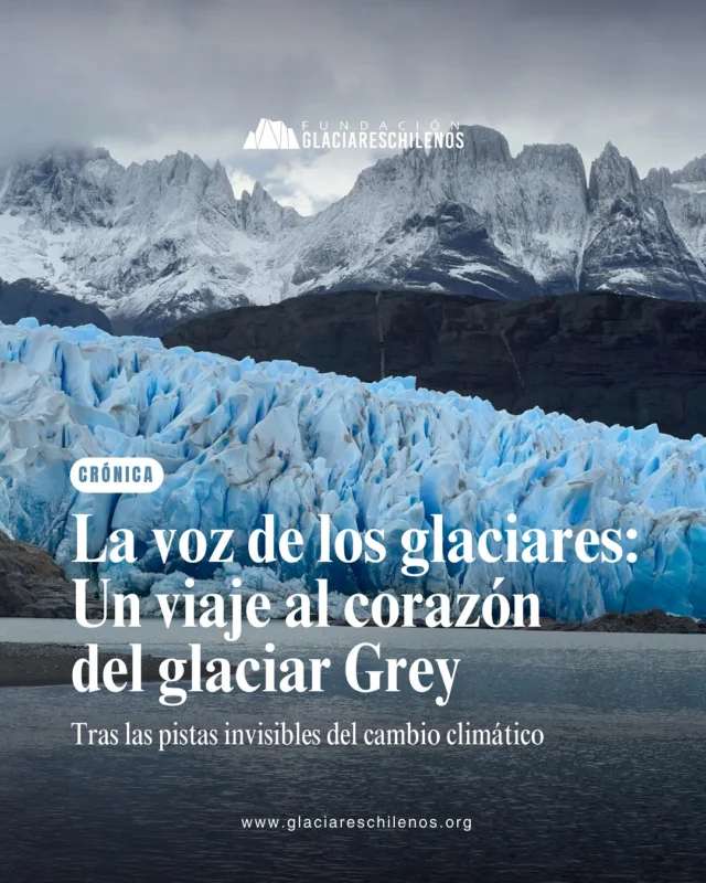 #CRÓNICA 🔵 En esta crónica acompañamos a la científica Claudia Sánchez @pazciencia_pox y a su equipo en una expedición única al glaciar Grey, en la región de Magallanes. Su misión: descifrar señales ocultas tras los colapsos y desprendimientos masivos de hielo.

❄️ “El Glaciar Grey no solo es un símbolo de belleza natural, también es una advertencia viviente. Cada bloque que se desprende, cada rugido lejano que atraviesa el hielo y el viento, son un testimonio de un sistema que se desestabiliza”

Con sensores de presión enterrados bajo el hielo, los investigadores captan sonidos que el oído humano no puede percibir, pero que revelan cómo y por qué colapsan los glaciares.

🌍 “El rápido retroceso del Glaciar Grey evidencia de manera tangible los efectos del cambio climático. Los desprendimientos de hielo, cada vez más frecuentes, reflejan la fragilidad del ecosistema y cómo este se ve alterado por causas antropogénicas”

🔗 Lee la crónica completa y sumérgete en este viaje al corazón del hielo. Encuentra el enlace en nuestras historias y bio 📲

📝 Artículo: Matías Carvajal @matiascarvajal1048
❄️ Investigadora: Claudia Sánchez @pazciencia_pox 
📸 Fotos: @pazciencia_pox kalixe985

“Las acciones y decisiones que tomemos el día de hoy, construirán el futuro para la naturaleza, comunidades y glaciares”
~Fundación Glaciares Chilenos~

🔵 Si valoras nuestro trabajo, puedes apoyarnos con una donación desde $3.000. Comenta GLACIAR y te enviamos más información.

#glaciareschilenos #yoprotejolosglaciares #glaciargrey #cambioclimático #ciencia #glaciares