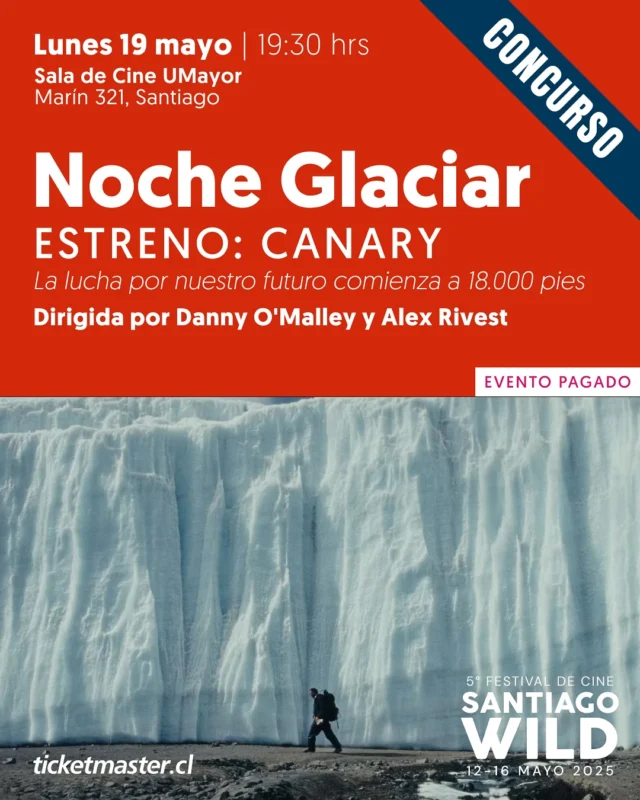 #CONCURSO 🔵 [CERRADO] ¡Gana entradas dobles para la Noche Glaciar de @santiagowildfest! ❄️🎬 HOY lunes 19 de mayo, a las 19:30 hrs te invitamos a una función imperdible en la Sala de Cine UMayor (@extensionumayor @salakcine), donde se proyectará el galardonado documental “Canary”, dirigido por @dannyomalley.film y @rivest.

🌎 “Canary” narra la vida y legado del Dr. Lonnie Thompson, pionero en alertar sobre el derretimiento de los glaciares y la crisis climática. Una historia poderosa contada desde la cima de los glaciares hasta los pasillos de la ciencia.

🏆 Reconocida internacionalmente, esta cinta ha sido premiada en festivales como el Nordic Adventure Film Festival y los Jackson Wild Media Awards.

🔵 ¿Quieres ganar una entrada doble? Sigue estos pasos:

1. Sigue a @glaciareschilenos y @santiagowildfest
2. Etiqueta a la persona con la que quieres ir
3. Asegúrate de que esa persona también siga ambas cuentas
4. Comparte este post en tus historias (¡no olvides mencionarnos!)

🎟 Los ganadores serán anunciados HOY a las 17 hrs.
¡No dejes de participar! Vive el cine, la ciencia y la montaña como nunca antes junto a @santiagowildfest

🧊 ¡Nos vemos en la Noche Glaciar!

#GlaciaresChilenos #YoProtejoLosGlaciares #SantiagoWild2025 #FestivalDeCine #CanaryDoc #CambioClimático #LaderaSur #VidaSalvaje #Naturaleza #Ciencia #CineAmbiental #NocheGlaciar